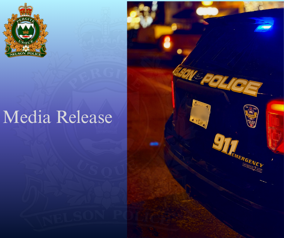 Nelson Police Department (4)