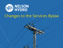 Nelson Hydro Services Bylaw
