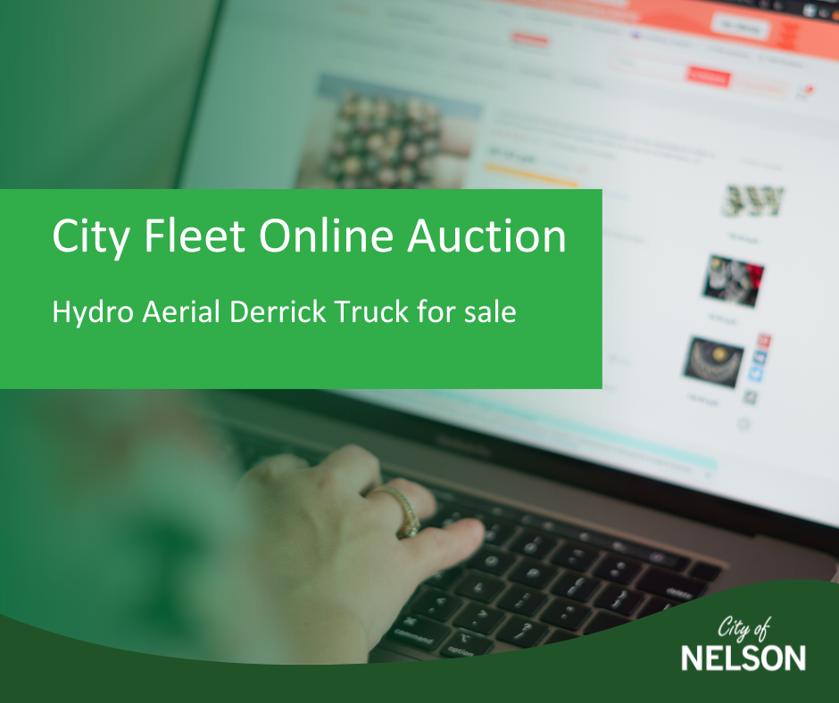 Online auction