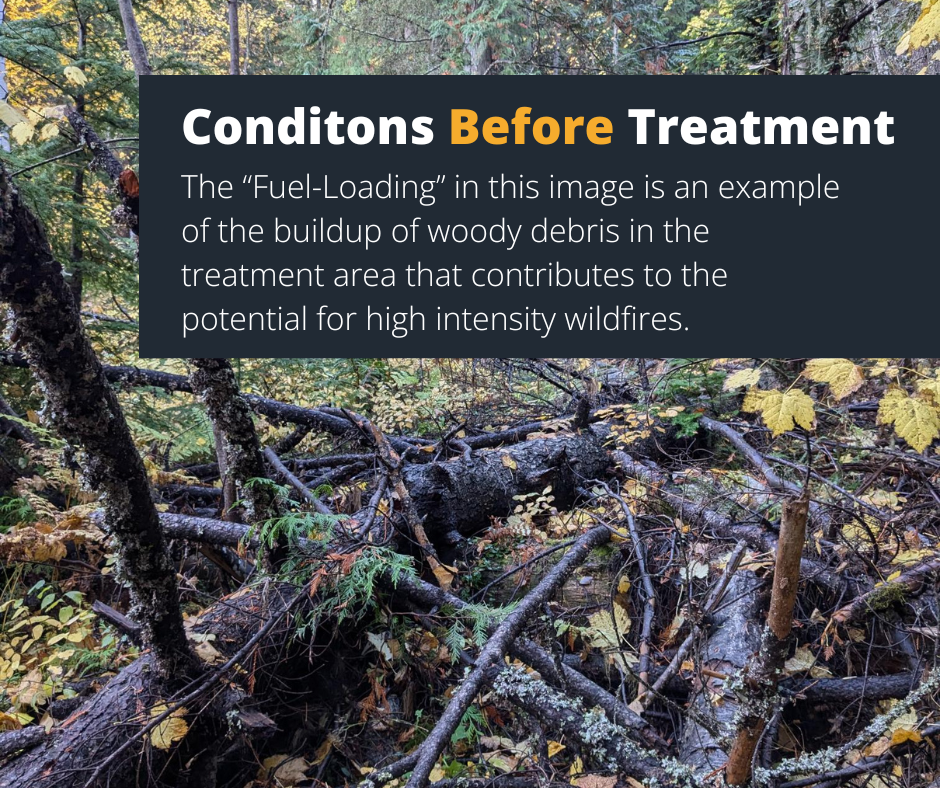 Fuel Loading Before Treatment